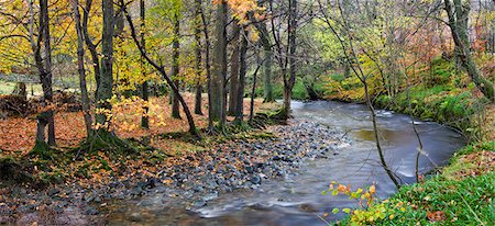 simsearch:841-08279472,k - Aira Beck river flowing through autumnal deciduous woodland, Lake District National Park, Cumbria, England, United Kingdom, Europe Stock Photo - Rights-Managed, Code: 841-06447465
