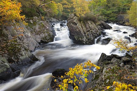 rap - Autumn foliage surrounds the river Garbe Uisge at the Falls of Leny near Callander, Stirling, Scotland, United Kingdom, Europe Foto de stock - Con derechos protegidos, Código: 841-06447499