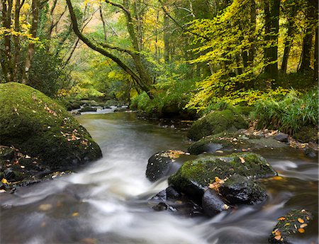 dartmoor national park - Beautiful autumnal colours line the banks of the River Teign at Fingle Bridge, Dartmoor National Park, Devon, England, United Kingdom, Europe Foto de stock - Con derechos protegidos, Código: 841-06447511