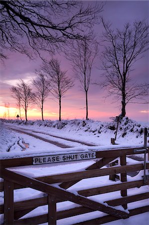 Verschneite Holztor auf einer Heide-Straße, Exmoor, Somerset, England, Vereinigtes Königreich, Europa Stockbilder - Lizenzpflichtiges, Bildnummer: 841-06447528