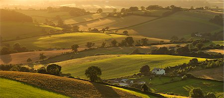 Campagne vallonnée en été, près de Crediton, Devon, Angleterre, Royaume-Uni, Europe Photographie de stock - Rights-Managed, Code: 841-06447600