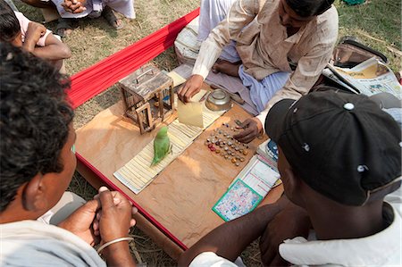 paranormale - Fortune telling green parakeet being used to pick tarot cards at Sonepur Cattle Fair, Bihar, India, Asia Fotografie stock - Rights-Managed, Codice: 841-06447660