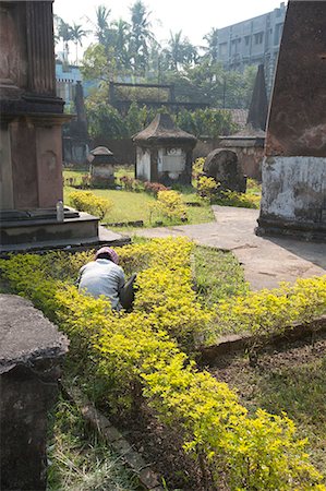 Gardener trimming low hedge in the 250 year old Dutch cemetery at Chinsurah, run by the Archaeological Survey of India, near Hugli, West Bengal, India, Asia Stock Photo - Rights-Managed, Code: 841-06447683
