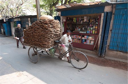 Homme roue pousse-pousse de cycle chargé de bouse pats pour utilisation comme combustible domestique, village Hugli, West Bengal, Inde, Asie Photographie de stock - Rights-Managed, Code: 841-06447706