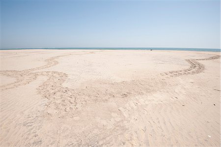 pegadas - Circular path made by turtle coming up to lay eggs in the sand and returning to the sea, coastal Odisha, Orissa, India, Asia Foto de stock - Direito Controlado, Número: 841-06447769