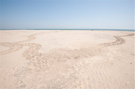 Tracé circulaire constitué par les tortues viennent pondre les œufs dans le sable et le retour à la mer, littoral Odisha, Orissa, Inde, Asie Photographie de stock - Rights-Managed, Code: 841-06447769