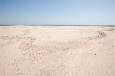 footprints sandy beach - Circular path made by turtle coming up to lay eggs in the sand and returning to the sea, coastal Odisha, Orissa, India, Asia Stock Photo - Rights-Managed, Code: 841-06447769