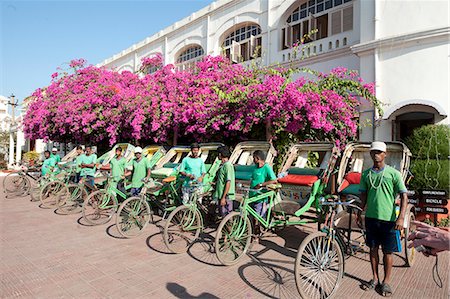 simsearch:841-06616388,k - Green riders, cycle rickshaw wallahs encouraging environmentally friendly travel around Puri, near pink bougainvillea, Orissa, India, Asia Foto de stock - Con derechos protegidos, Código: 841-06447823