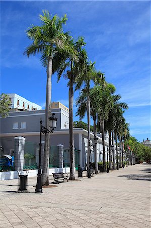 palm trees in rows - Paseo de la Princes (Walkway of the Princess), Old San Juan, San Juan, Puerto Rico, West Indies, Caribbean, United States of America, Central America Stock Photo - Rights-Managed, Code: 841-06447907