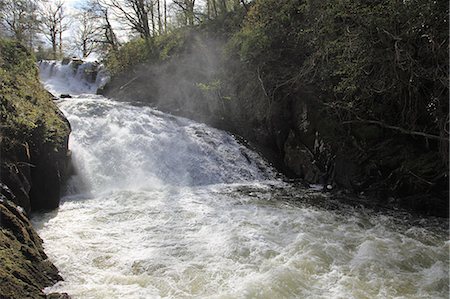 Swallow Falls, Afon Llugwy river, near Betws-y-Coed, Wales, North Wales, United Kingdom, Europe Stock Photo - Rights-Managed, Code: 841-06447974