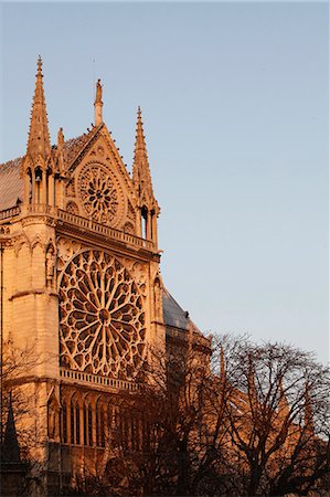 Rose window on South facade, Notre Dame Cathedral, Paris, France, Europe Stock Photo - Rights-Managed, Code: 841-06448142