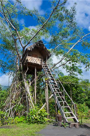 Tree house in a Banyan tree below the Volcano Yasur, Island of Tanna, Vanuatu, South Pacific, Pacific Stock Photo - Rights-Managed, Code: 841-06448257