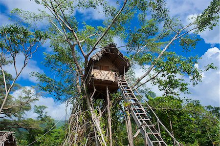 Tree house in a Banyan tree below the Volcano Yasur, Island of Tanna, Vanuatu, South Pacific, Pacific Foto de stock - Con derechos protegidos, Código: 841-06448259