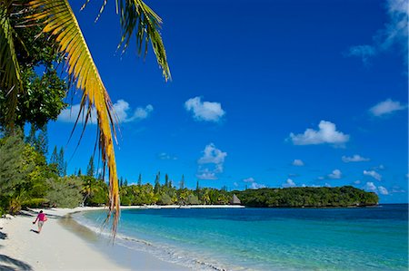 pictures of holiday nature resorts - Ile des Pins, New Caledonia, Melanesia, South Pacific, Pacific Foto de stock - Con derechos protegidos, Código: 841-06448354