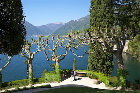 platane tree - Jardins de la Villa del Balbianello sur Punta di Lavedo sous le soleil de printemps, Lenno, lac de Côme, lacs italiens, Italie, Europe Photographie de stock - Rights-Managed, Code: 841-06448477