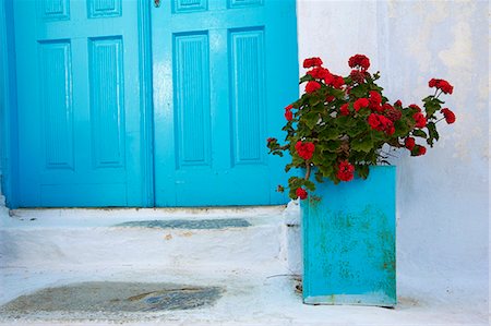 european geraniums - Chora, Amorgos, Cyclades, Aegean, Greek Islands, Greece, Europe Stock Photo - Rights-Managed, Code: 841-06448590