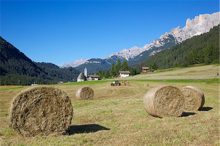 Hay field near Canazei, Canazei, Trentino-Alto Adige, Italy, Europe Foto de stock - Con derechos protegidos, Código: 841-06448734
