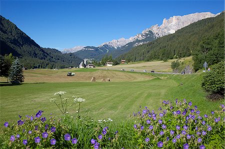 simsearch:841-06448908,k - Hay field near Canazei, Canazei, Trentino-Alto Adige, Italy, Europe Foto de stock - Con derechos protegidos, Código: 841-06448736