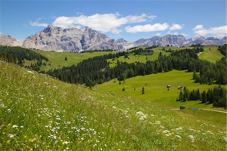 View from Col Alto, Corvara, Badia Valley, Bolzano Province, Trentino-Alto Adige/South Tyrol, Italian Dolomites, Italy, Europe Stock Photo - Rights-Managed, Code: 841-06448776