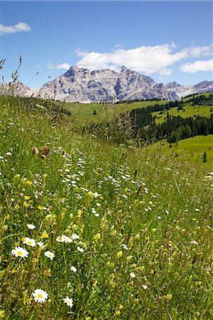 View from Col Alto, Corvara, Badia Valley, Bolzano Province, Trentino-Alto Adige/South Tyrol, Italian Dolomites, Italy, Europe Foto de stock - Con derechos protegidos, Código: 841-06448777