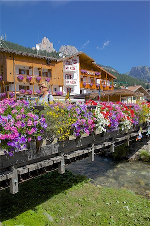 Pont et fleurs, Pozza di Fassa, vallée de Fassa, Province de Trento, Trentin-Haut-Adige/Südtirol, Dolomites italiennes, Italie, Europe Photographie de stock - Rights-Managed, Code: 841-06448839