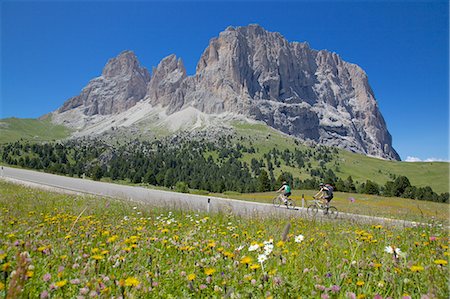 Cyclists and Sassolungo Group, Sella Pass, Trento and Bolzano Provinces, Italian Dolomites, Italy, Europe Stock Photo - Rights-Managed, Code: 841-06448832