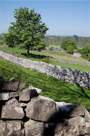 stonewall - Dry stone walls, Hartington, Peak District, Derbyshire, England, United Kingdom, Europe Stock Photo - Rights-Managed, Code: 841-06448946