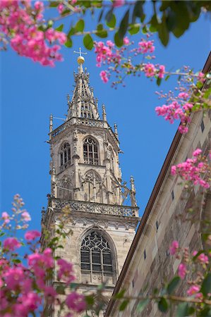 simsearch:841-07205705,k - Duomo, Walther Platz, Bolzano, Bolzano Province, Trentino-Alto Adige, Italy, Europe Foto de stock - Con derechos protegidos, Código: 841-06449026