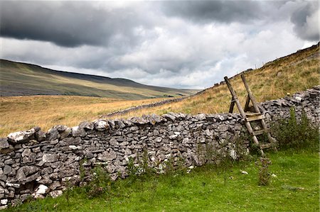 Dry stone wall and ladder stile at Twisleton Scar near Ingleton, Yorkshire Dales, North Yorkshire, Yorkshire, England, United Kingdom, Europe Foto de stock - Con derechos protegidos, Código: 841-06449176