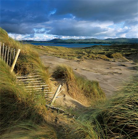 Sand dunes, Strandhill, County Sligo, Connacht, Repubic of Ireland, Europe Stock Photo - Rights-Managed, Code: 841-06449476