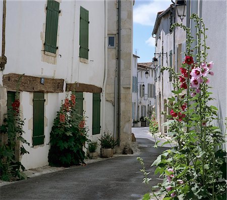 french culture - Typical street scene with Hollyhocks, St. Martin, Ile de Re, Poitou-Charentes, France, Europe Stock Photo - Rights-Managed, Code: 841-06449554