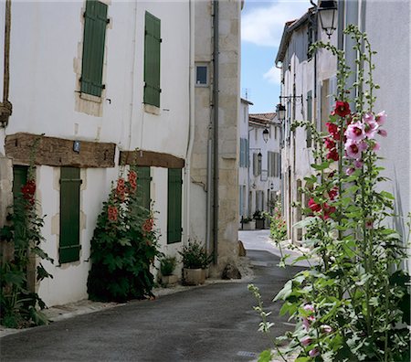 Typische Straßenszene mit Stockmalven, St. Martin, Ile de Re, Poitou-Charentes, Frankreich, Europa Stockbilder - Lizenzpflichtiges, Bildnummer: 841-06449554