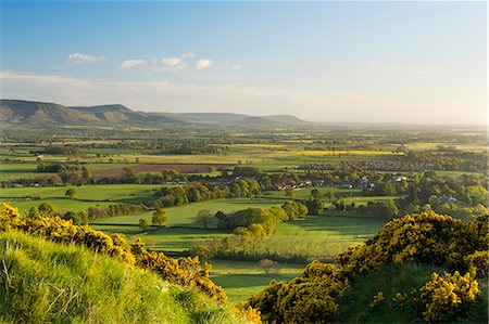 simsearch:841-07590527,k - View of the Cleveland Hills from above Cliff Ridge Wood, Great Ayton, North Yorkshire, Yorkshire, England, United Kingdom, Europe Stock Photo - Rights-Managed, Code: 841-06449585