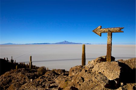 panneau de signalisation - Flèche de cactus sur la Isla de los Pescadores, Volcan Tunupa et les marais salants, Salar de Uyuni, Amérique du sud-sud-ouest des hautes-terres (Bolivie), Photographie de stock - Rights-Managed, Code: 841-06449718