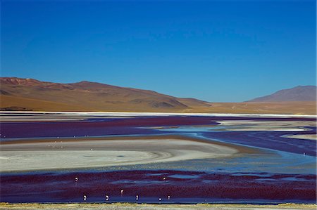 Laguna Colorada (Red Lagoon), a shallow salt lake in the southwest of the altiplano, Eduardo Avaroa Andean Fauna National Reserve, Bolivia, South America Stock Photo - Rights-Managed, Code: 841-06449748