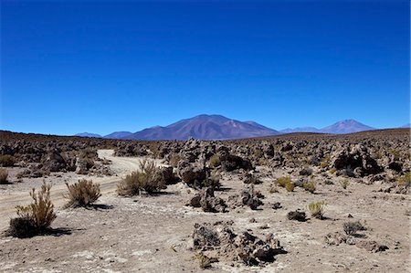 simsearch:841-06449727,k - Hautes terres du Sud-Ouest, en Bolivie, en Amérique du Sud Photographie de stock - Rights-Managed, Code: 841-06449762