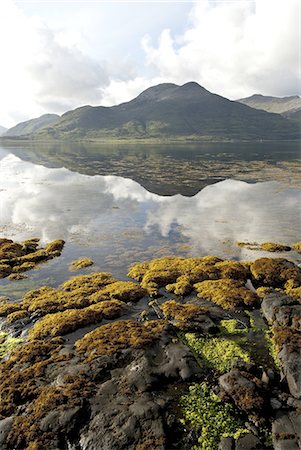 Landscape on the Isle of Mull, Inner Hebrides, Scotland, United Kingdom, Europe Foto de stock - Con derechos protegidos, Código: 841-06449943