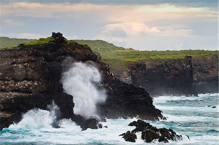 powerful water wave - View of Punta Suarez, Espanola Island, Galapagos Islands, UNESCO World Heritage Site, Ecuador, South America Stock Photo - Rights-Managed, Code: 841-06499448