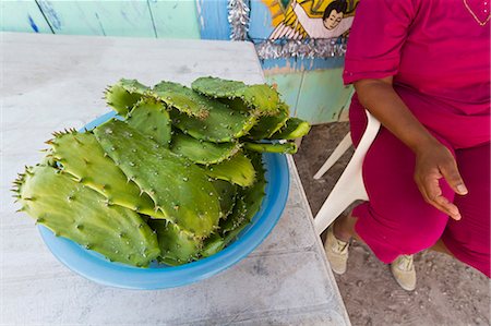 Nopalitos (cactus), Isla San Marcos, Gulf of California (Sea of Cortez), Baja California Sur, Mexico, North America Stock Photo - Rights-Managed, Code: 841-06499685