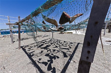 shark fin - Shark fins drying in the sun, Gulf of California (Sea of Cortez), Baja California Sur, Mexico, North America Stock Photo - Rights-Managed, Code: 841-06499690