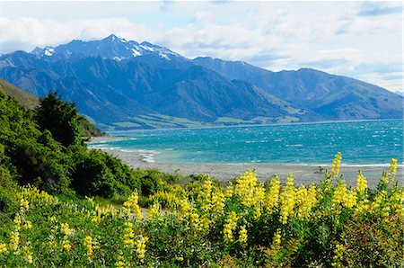 Lake Te Anau, Southland, South Island, New Zealand, Pacific Stock Photo - Rights-Managed, Code: 841-06499721