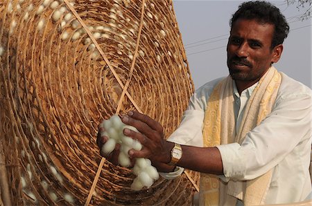 soyeux - Silk farmer with cocoons, Kanakpura, Karnataka, India, Asia Photographie de stock - Rights-Managed, Code: 841-06499737