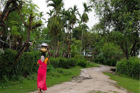 rural india - Woman carrying water, Assam, India, Asia Stock Photo - Rights-Managed, Code: 841-06499762