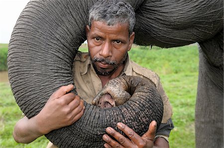 A mahout with his pet elephant, Kaziranga, Assam, India, Asia Foto de stock - Con derechos protegidos, Código: 841-06499772