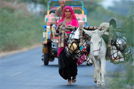 equus africanus asinus - A nomadic woman travelling with her donkey, Gujarat, India, Asia Foto de stock - Con derechos protegidos, Código: 841-06499782