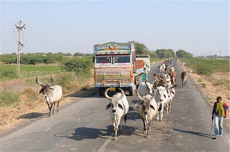 embouteillage - Cows blocking the highway traffic in India, Gujarat, India, Asia Photographie de stock - Rights-Managed, Code: 841-06499803