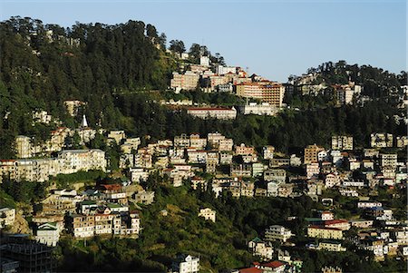 View of Shimla houses, Shimla, Himachal Pradesh, India, Asia Fotografie stock - Rights-Managed, Codice: 841-06499833