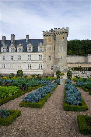 Vegetable garden, Chateau de Villandry, UNESCO World Heritage Site, Indre-et-Loire, Touraine, Loire Valley, France, Europe Foto de stock - Con derechos protegidos, Código: 841-06499938