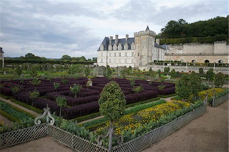 Gardens, Chateau de Villandry, UNESCO World Heritage Site, Indre-et-Loire, Touraine, Loire Valley, France, Europe Photographie de stock - Rights-Managed, Code: 841-06499939