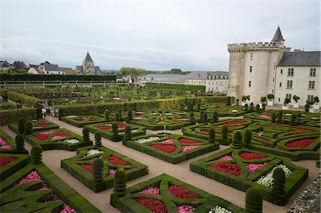 Gardens, Chateau de Villandry, UNESCO World Heritage Site, Indre-et-Loire, Touraine, Loire Valley, France, Europe Photographie de stock - Rights-Managed, Code: 841-06499944